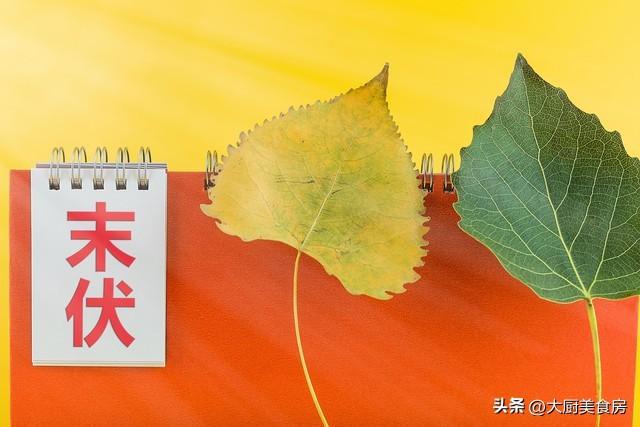 天要来了！哪天入伏？有多少天？看农谚咋说pg模拟器电脑版2025年不遇最短三伏